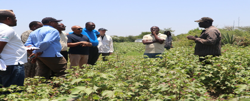 BODI YA WAKURUGENZI YATEMBELEA MASHAMBA YA PAMBA SIMIYU 