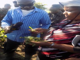  waziri wa kilimo akizindua msimu wa ununuzi