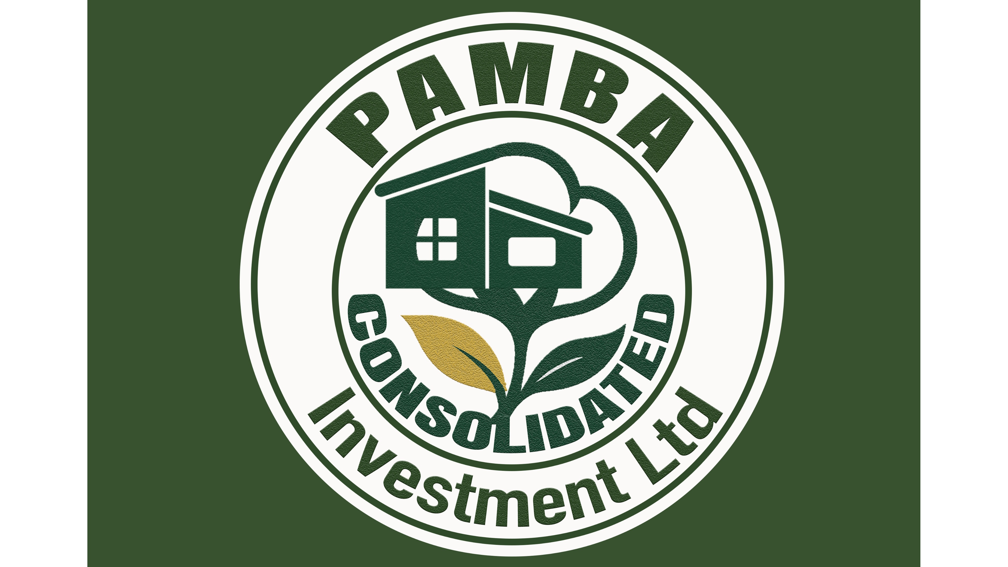Kampuni Tanzu ya Pamba